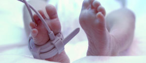 Quais tendências o bebê prematuro leva para a vida adulta?
